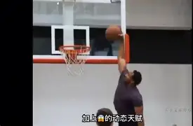 美洲篮球强队
